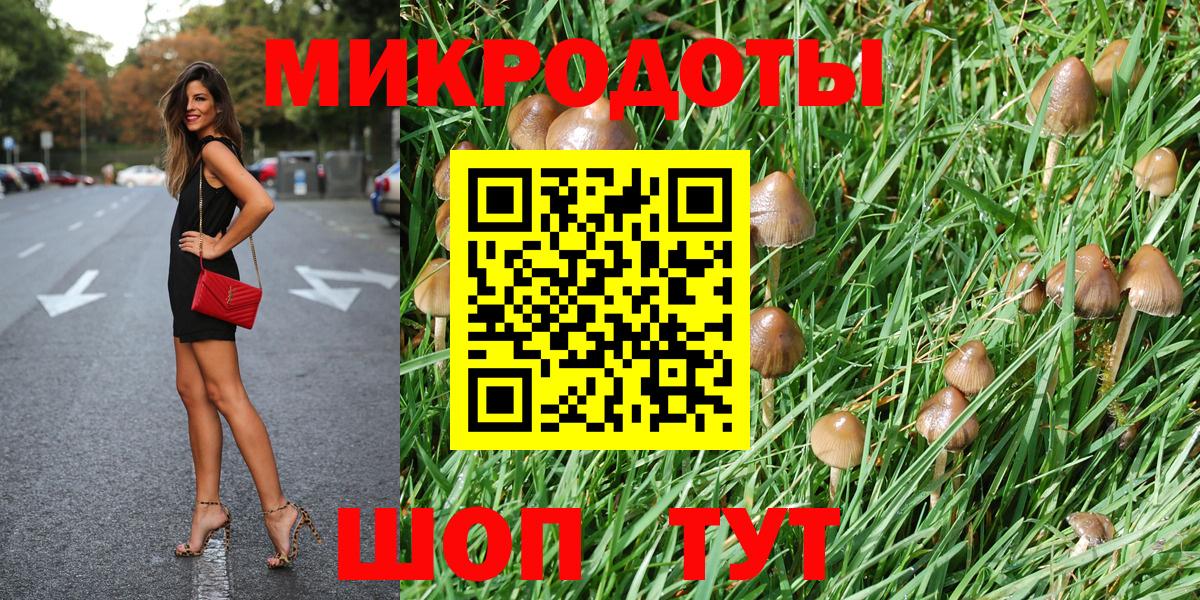 Сосновоборск  Галлюциногенные грибы Magic Shrooms  продажа наркотиков  Вход с VPN 